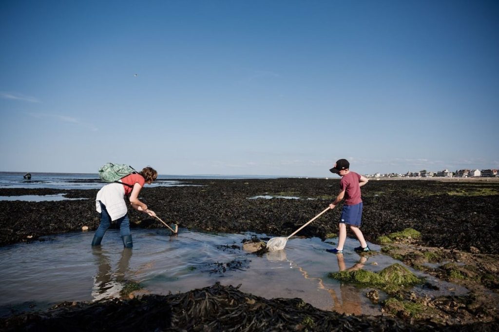 pêche à pied de loisirs au large de saint aubin sur mer crédit thomas le floc'h