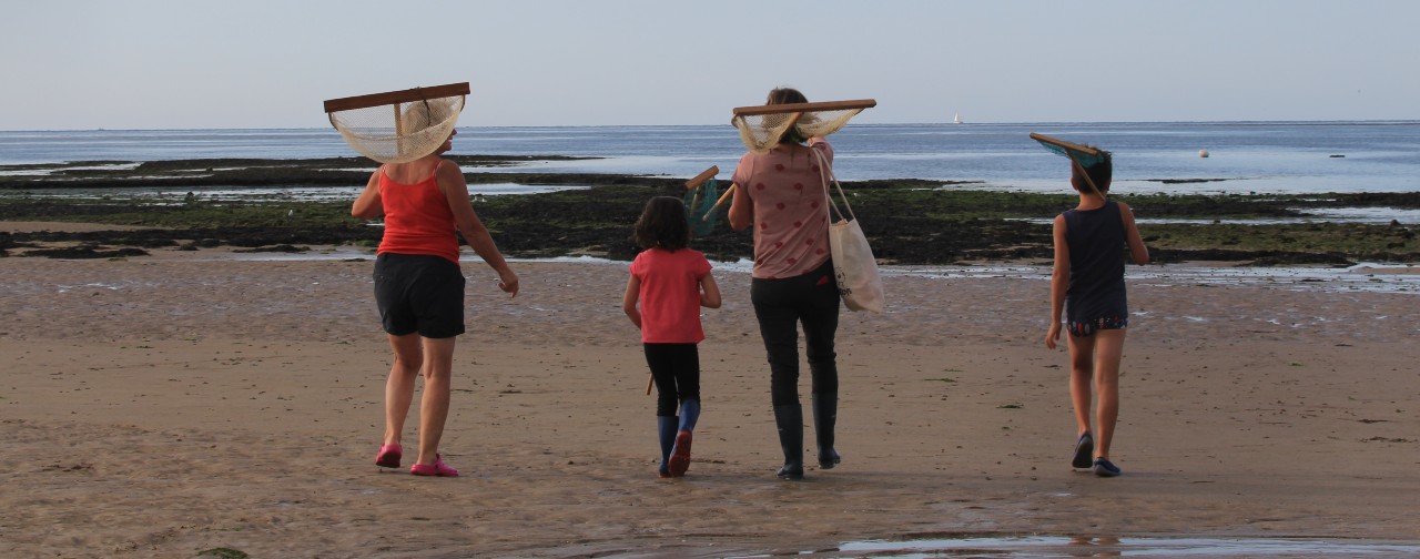 pêcheurs à pied plage famille Saint-Aubin-sur-Mer