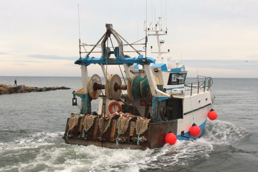 bateau de pêche coquille saint jacques courseulles crédit C2NT