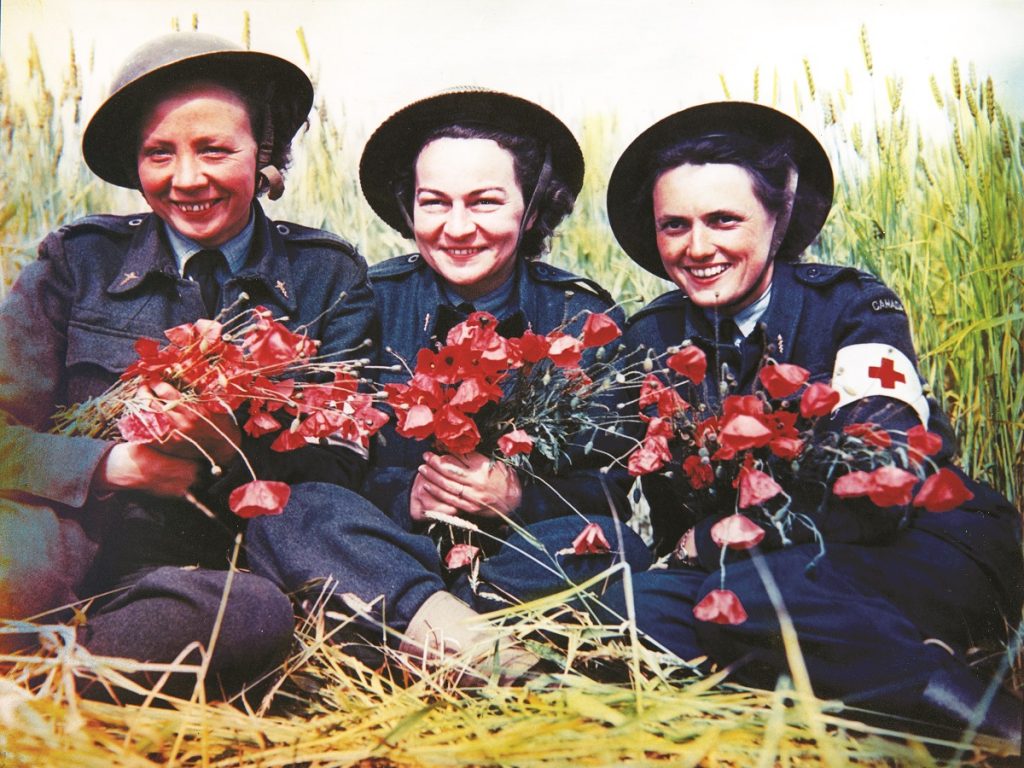 1 B GRANDES FEMMES DANS LA GUERRE Molly in a field with Poppies Bibliotheque et archives Canada CENTRE JUNO BEACH