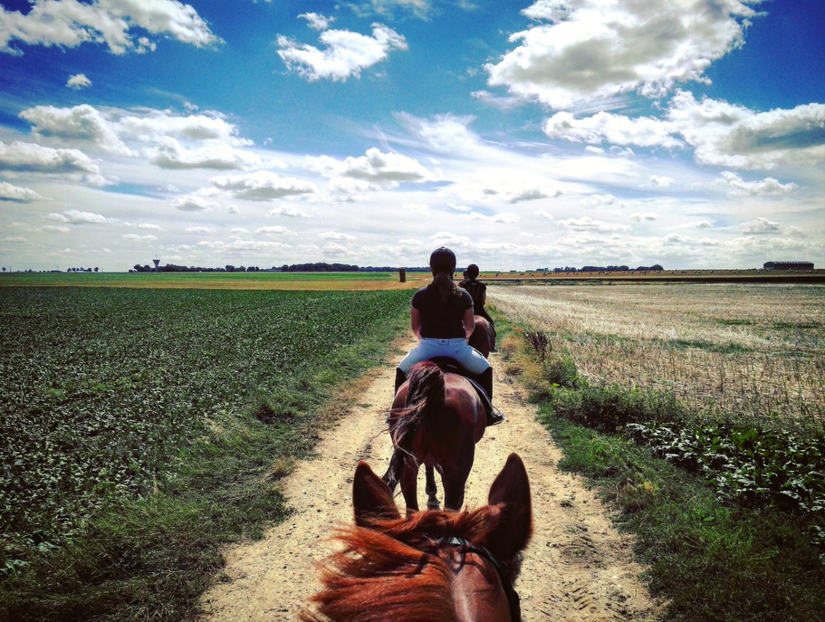 BALADE A CHEVAL CHAMPS CAMPAGNE CENTRE EQUESTRE CREDIT AMELIE PANKOW