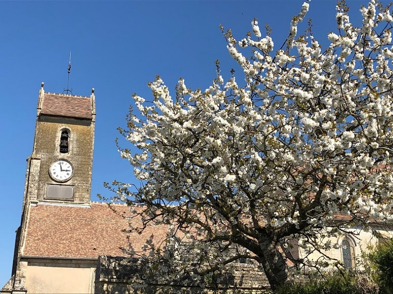 EGLISE DE PLUMETOT FLEURS PRINTEMPS CREDIT MATHILDE LELANDAIS