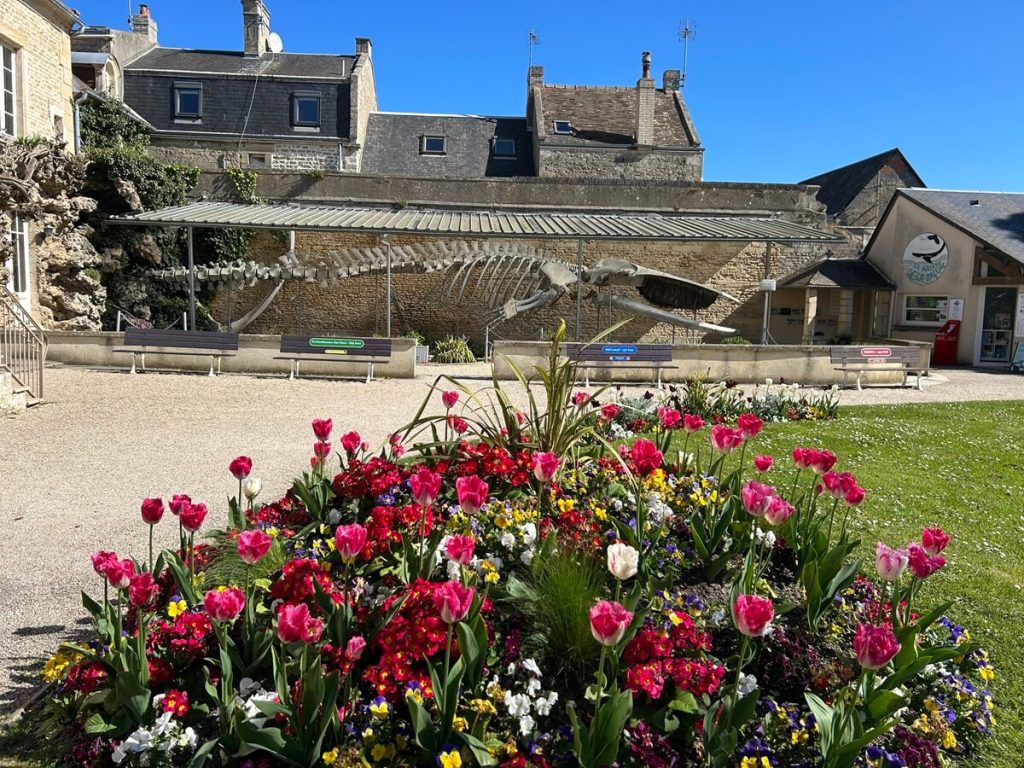 parc de l'hôtel de ville, office de tourisme, Luc-sur-Mer, crédit : Orane Trinité