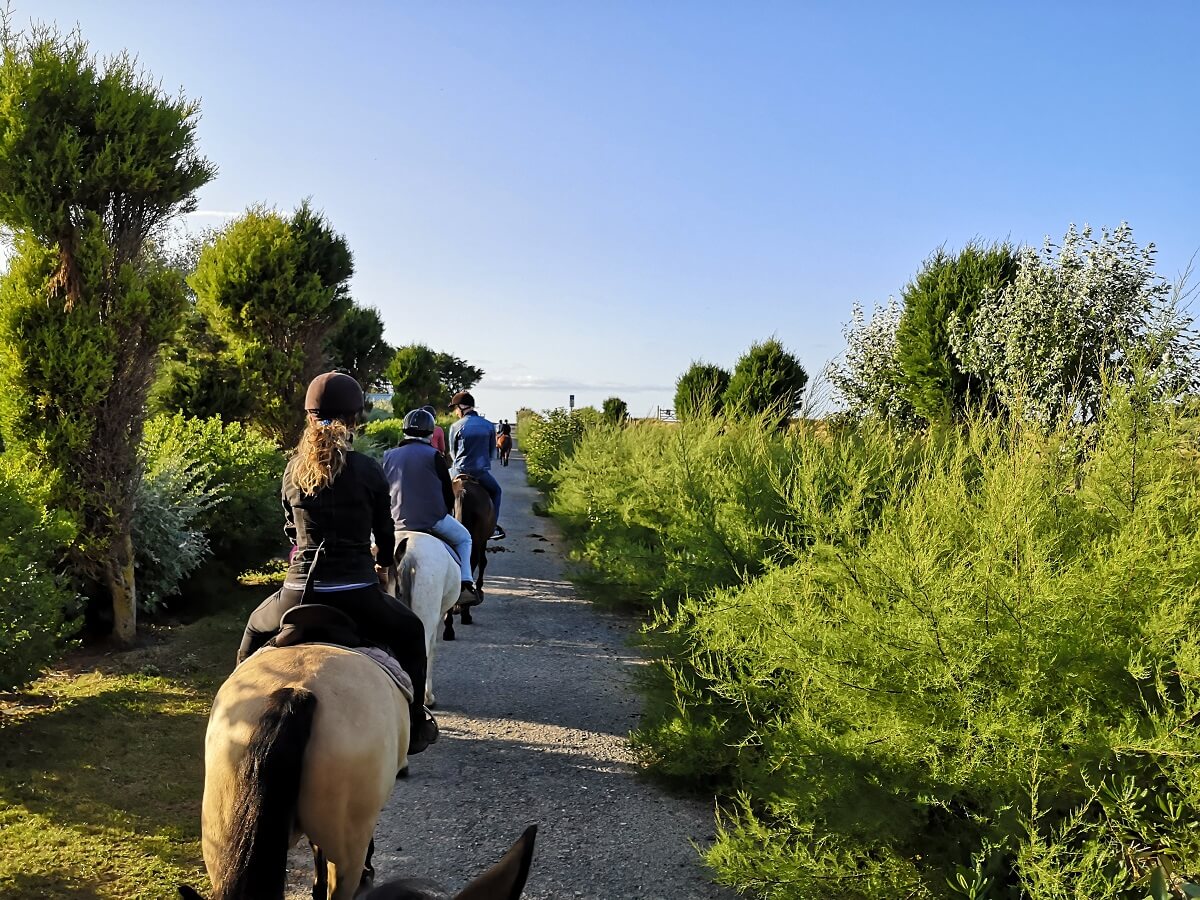 Balade a cheval sur la cote normande