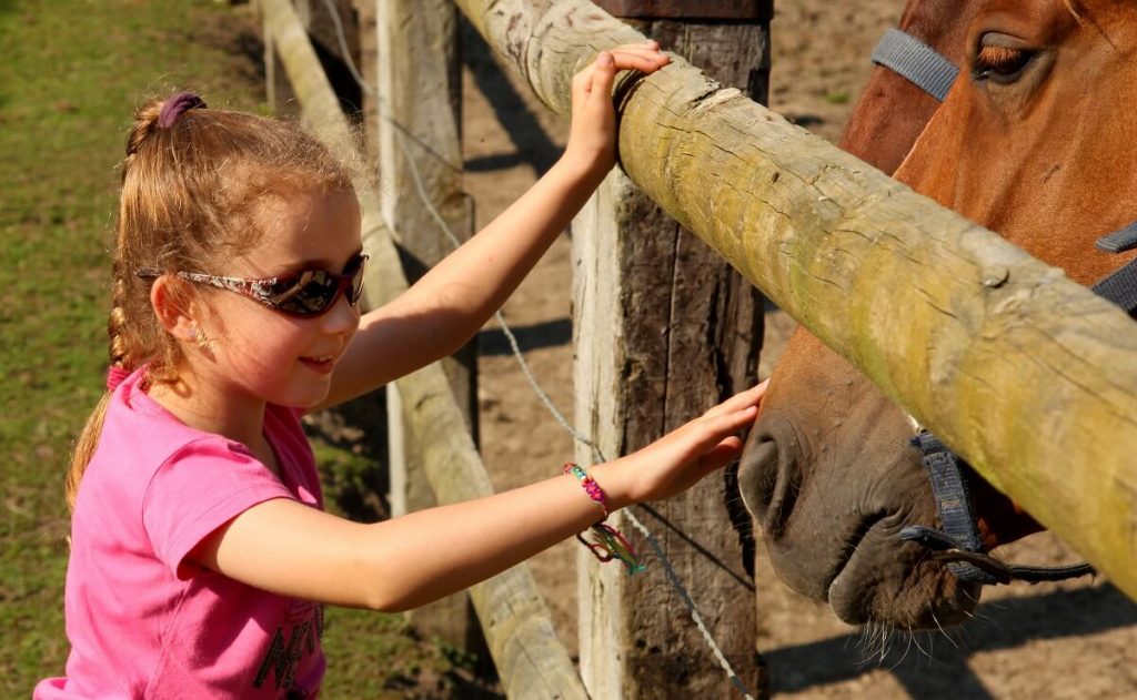 cheval et enfant