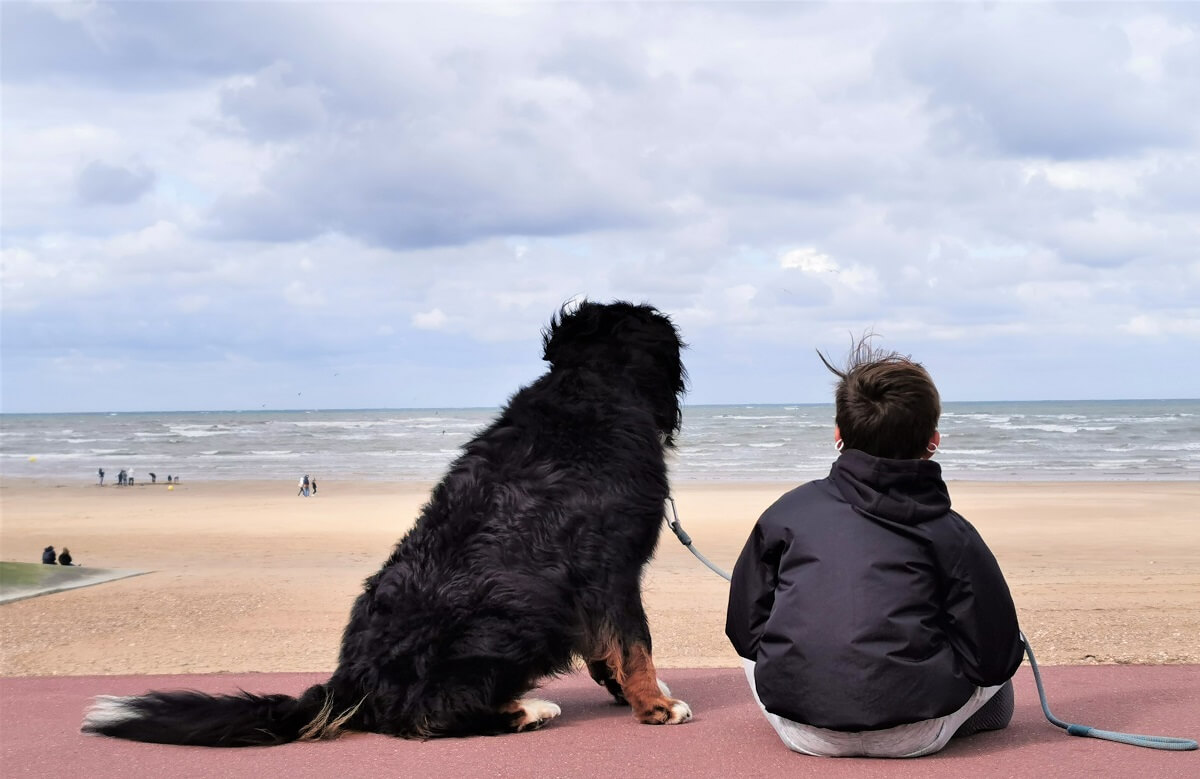 From the back, in the foreground, a child and his Bernese Mountain dog (a large dog with a black and fawn coat) are sitting side by side, gazing at the beach. The slightly choppy sea is tempted by the grey-blue reflection of the clouds.