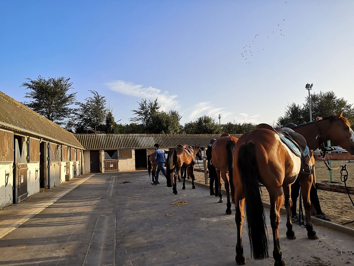 Balade a cheval sur la cote normande