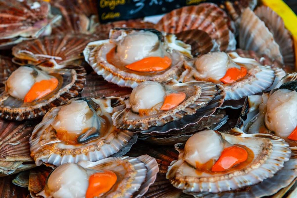 coquilles saint jacques