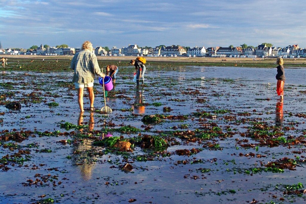 Low tide: the sky and blue-grey clouds are reflected in the water mirror left by the receding sea, green and reddish-brown seaweed dotting the beach, where fishermen walk their lines and scour the rocks. In the distance, a string of Saint-Aubin houses.