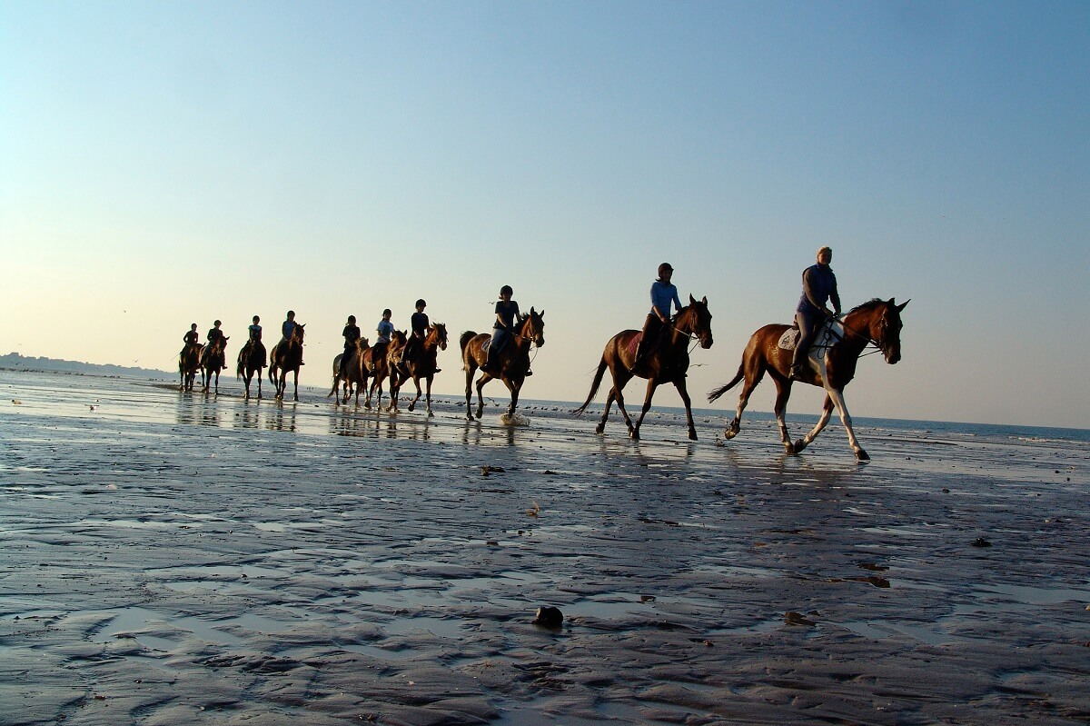 Horse riding on the beach