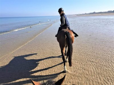 LA-BALADE-CHEVAL-A-MAREE-BASSE-EQUITATION-CREDIT-FRANCIS-GAZENGEL