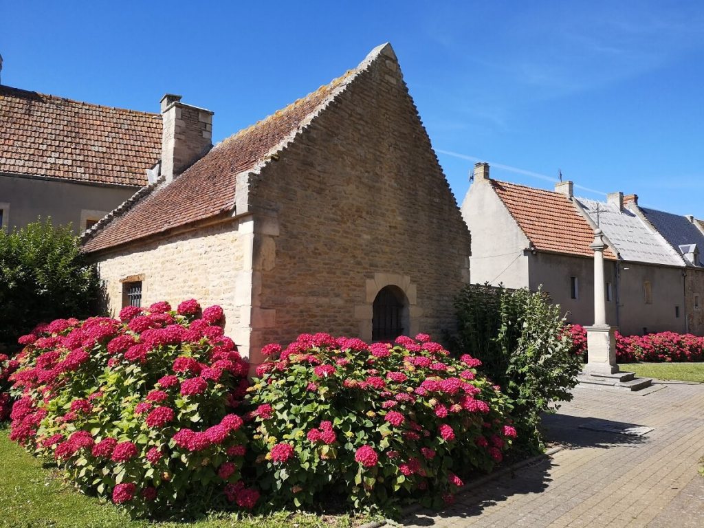 Derrière un parterre d'hortensia roses en fleurs la façade et le pignon d'une maison ancienne en pierre de Creully et tuiles brunes.