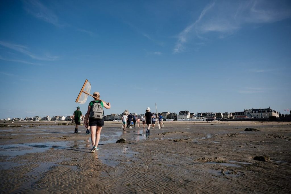 strandvissen aan de Normandische kust, bij Saint-Aubin-sur-Mer, foto: Thomas Le Floc'h