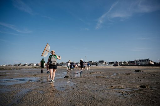 fishing on foot on the cote de nacre, normandy credit thomas le floc'h