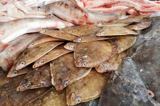 Courseulles-sur-mer vismarkt vissershaven vis van onze kusten kortsluiting