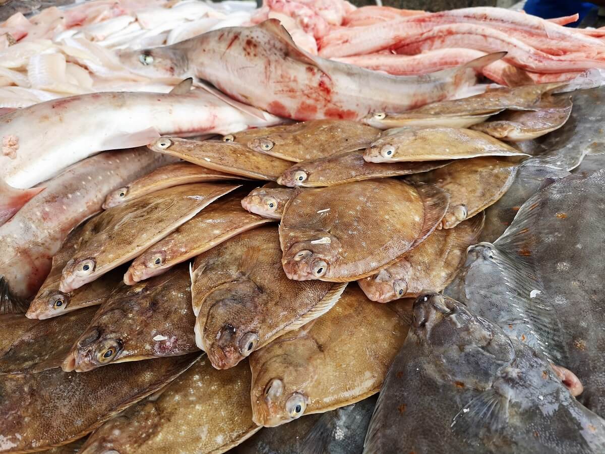 le marché aux poissons de Courseulles-sur-mer port de pêche poissons de nos côtes circuit court