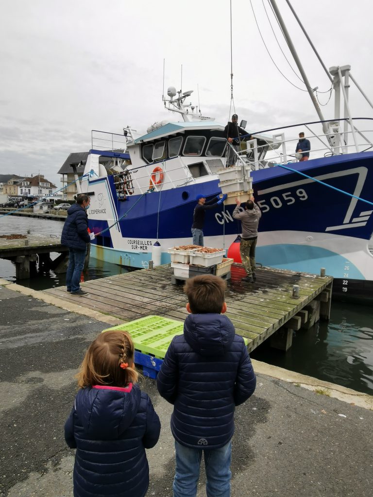 enfants devant le spectacle de la debarque saison de la coquille saint jacques courseulles sur mer credit nathalie papouin