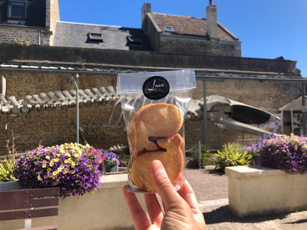 les sables de la baleine luc sur mer boulangerie l envie credit mathilde lelandais 1