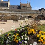 parc de la baleine squelette baleine luc sur mer credit mathilde lelandais 6