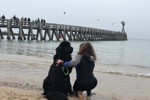 chien sauveteur fete de la coquille courseulles novembre 2021 credit mathilde lelandais 1