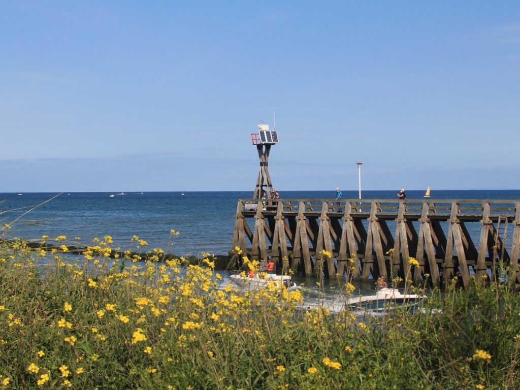 Au premier plan des fleurs jaune poussent sur la dune située sur la rive gauche (côté "Centre Juno") de la Seulle, au deuxième plan, sur la droite, la jetée en bois au bout laquelle est construit le feu balisant l'entrée du port. La mer et calme d'un bleu gris soutenu, le ciel bleu. - crédit : Nathalie Papouin