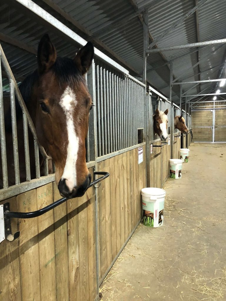 box courseulles equitation massage et soin algotherapie credit mathilde lelandais