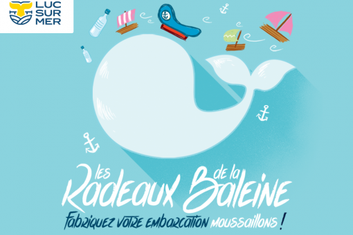 les radeaux de la baleine