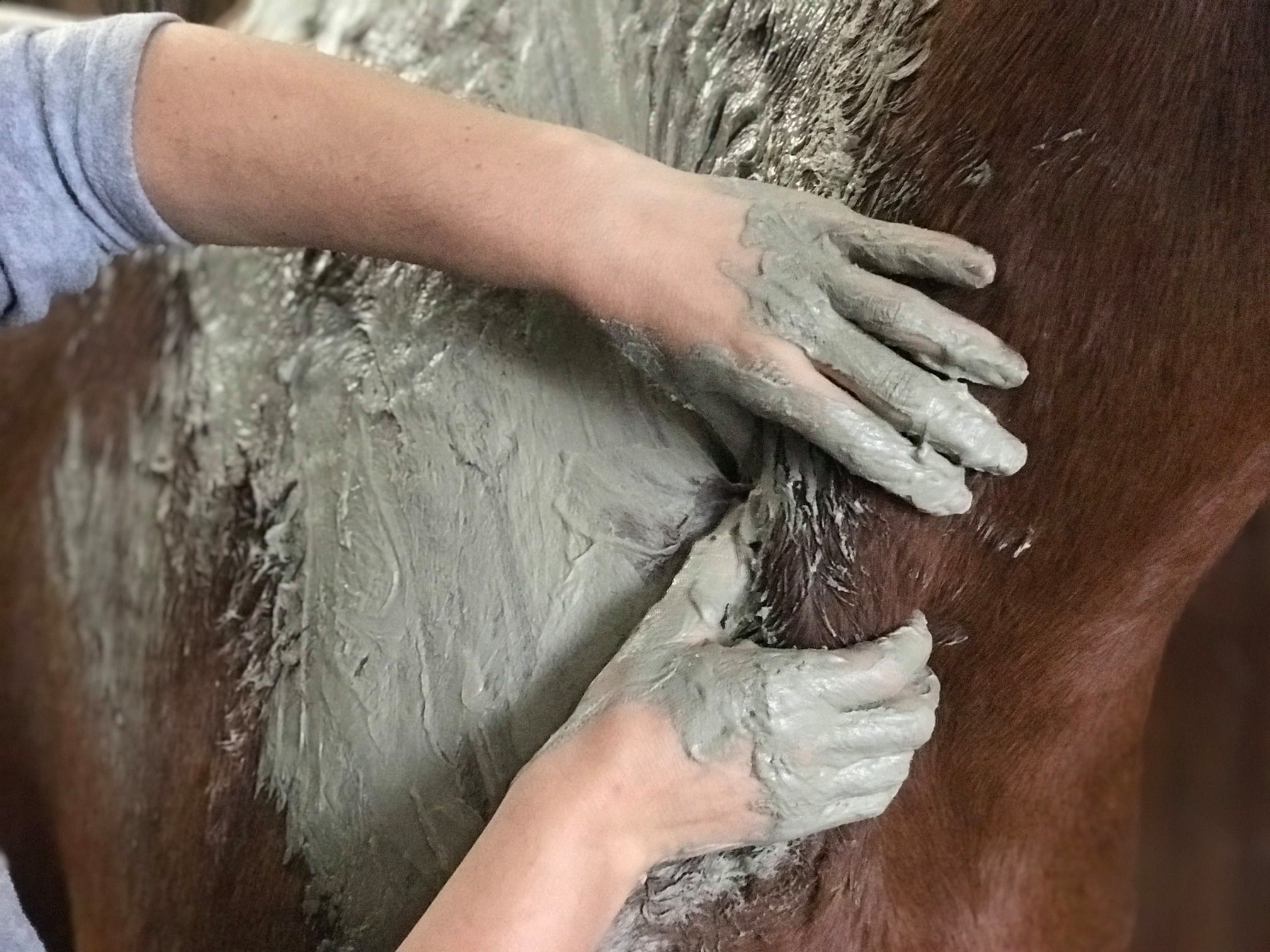 massage equin credit amg equin