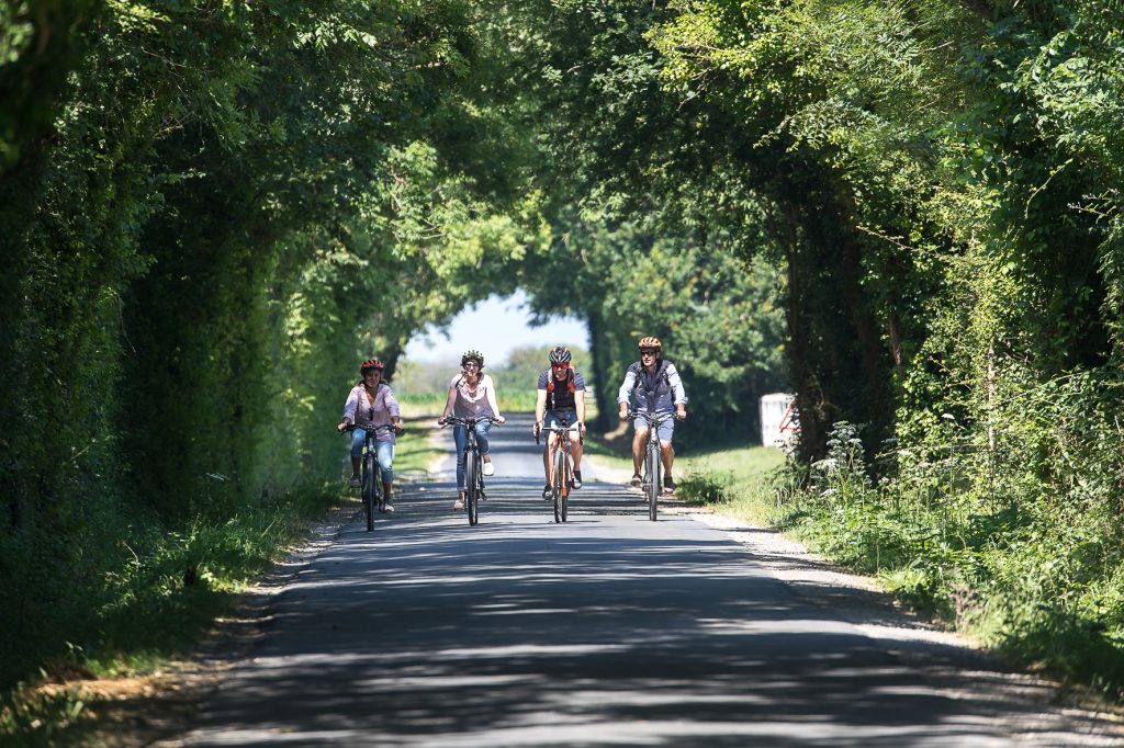 velo bessin locvelo copyright arnaud guerin lithosphere 19 sur 21