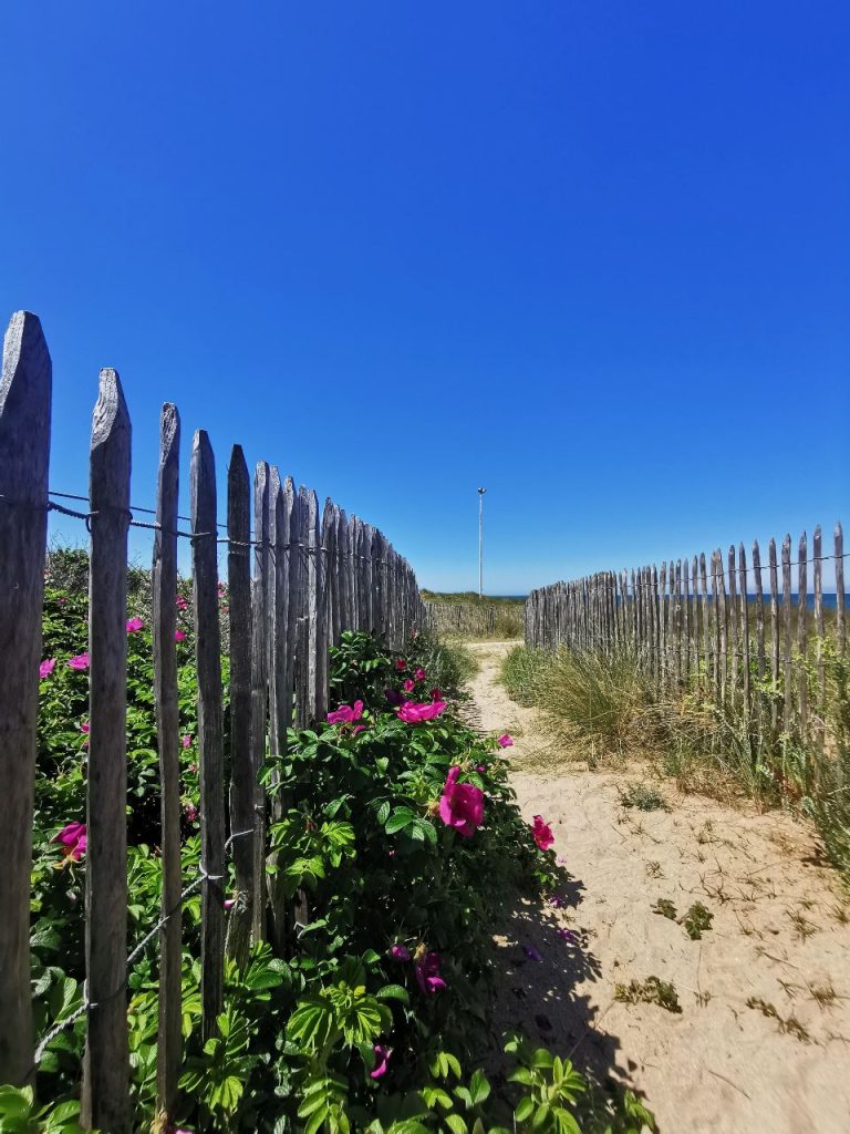 parc juno courseulles sur mer credit nathalie papouin 12