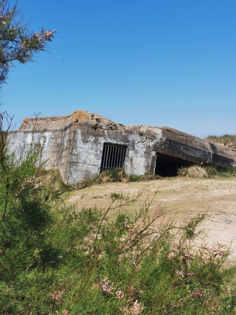 vestiges mur de l atlantique parc juno courseulles sur mer credit nathalie papouin 7