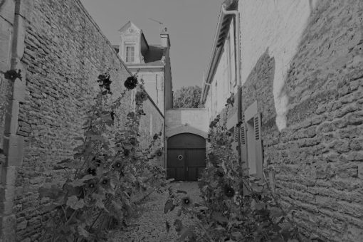 une venelle saint aubin sur mer fleurs credit nathalie papouin 4