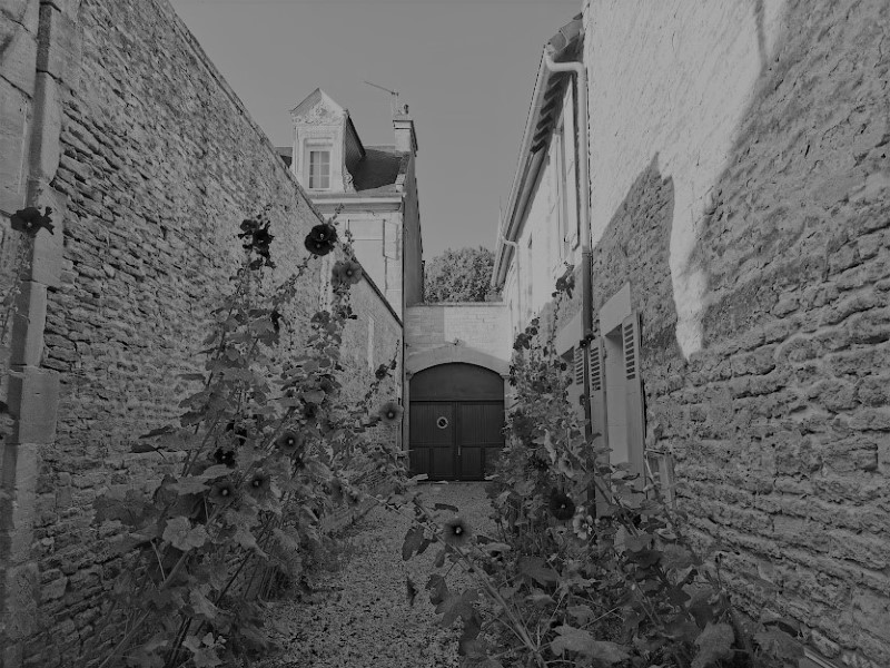 une venelle saint aubin sur mer fleurs credit nathalie papouin 4