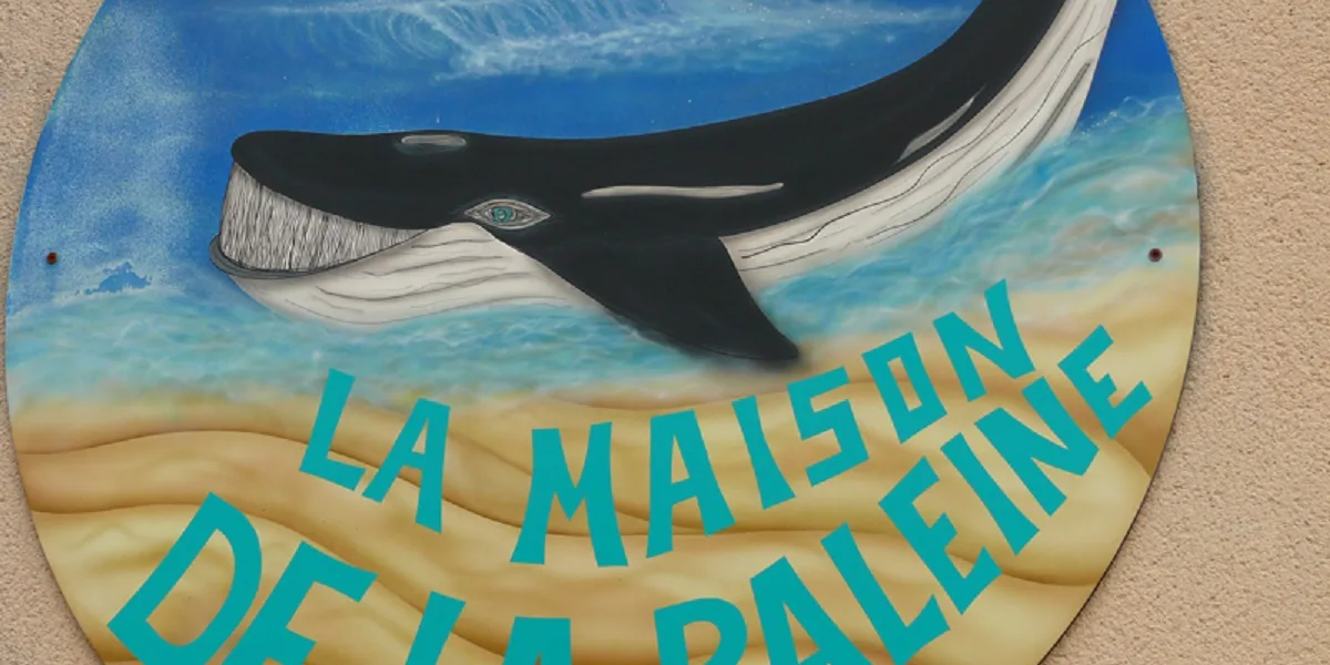 luc sur mer musee de la bal 2