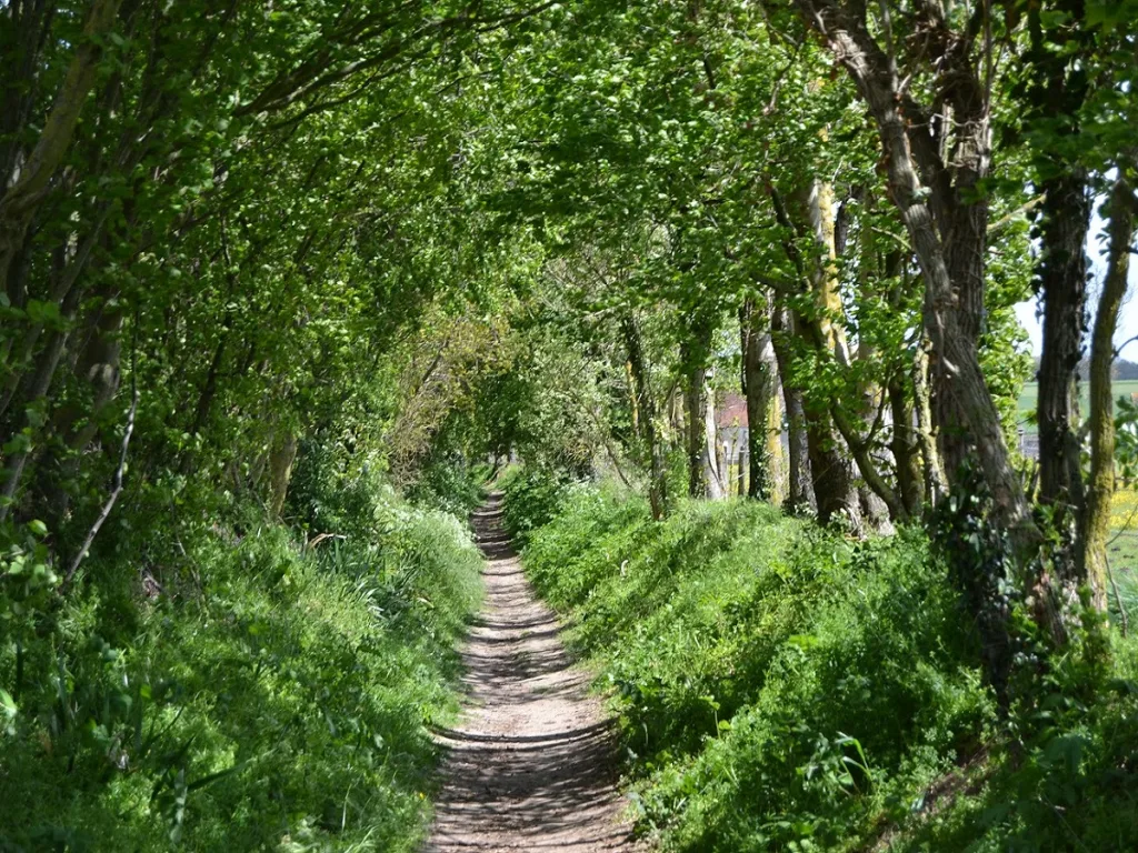 colomby anguerny c hudson 19