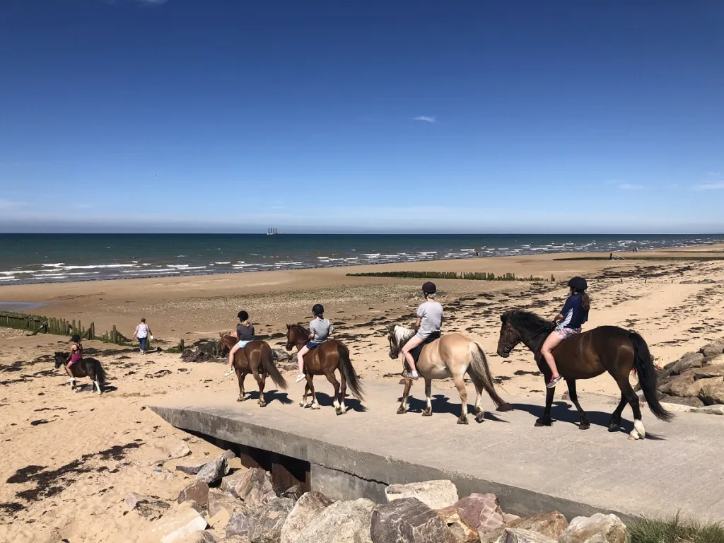promenade a cheval balade a la mer courseulles equitation credit mathilde lelandais 14