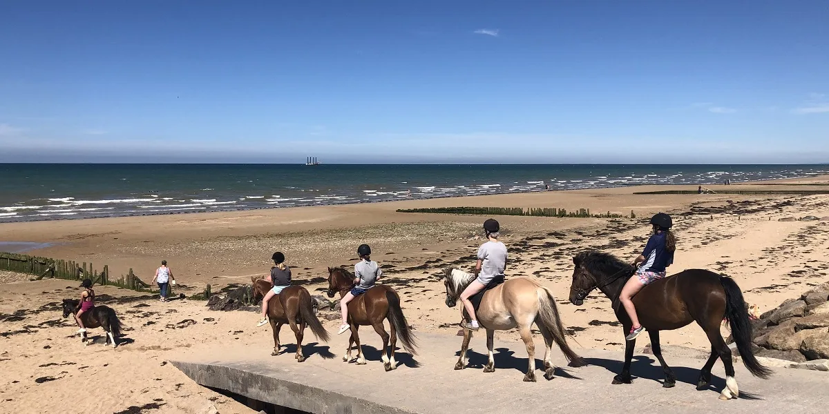 promenade a cheval balade a la mer courseulles equitation credit mathilde lelandais 14