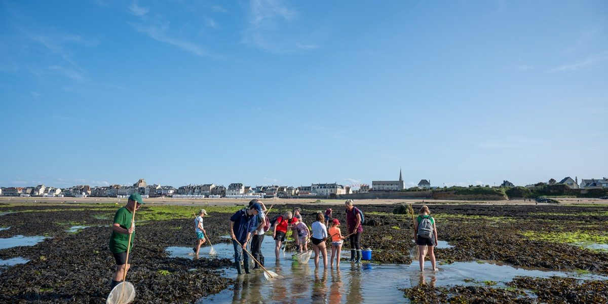 pêche à pied pour les groupes côte de nacre normandie crédit thomas le floc'h