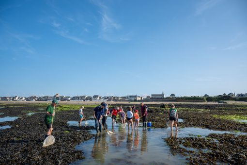 pêche à pied pour les groupes côte de nacre normandie crédit thomas le floc'h