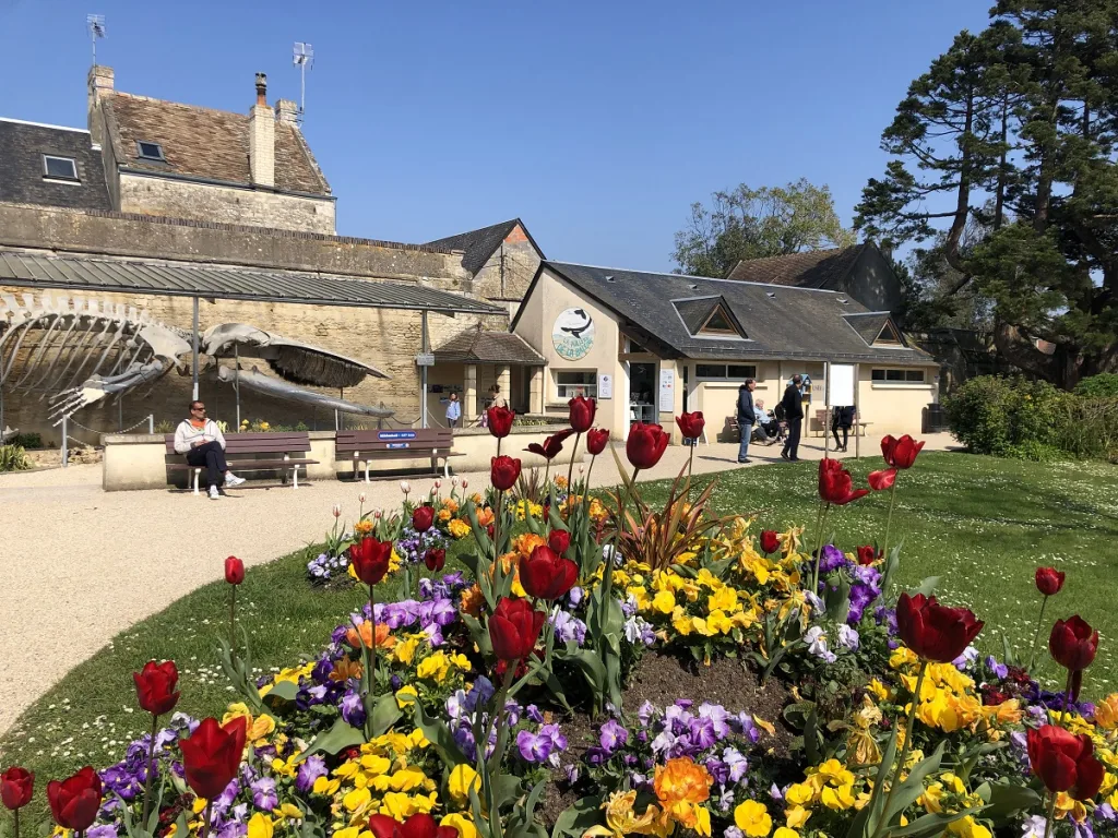 parc de la baleine luc sur mer credit mathilde lelandais 3