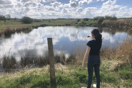 marais du platon bernieres sur mer credit mathilde lelandais 1 1