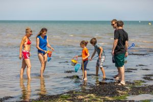 pêche à pied, Saint-aubin-sur-mer, photo : Vincent Rustuel