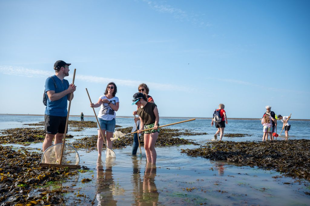 sortie pêche à pied Côte de Nacre