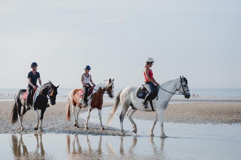 balade à cheval sur le bord de mer, normandie, crédit Marie-Anaïs Thierry-Normandie Tourisme