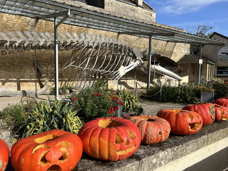 halloween à luc-sur-mer
