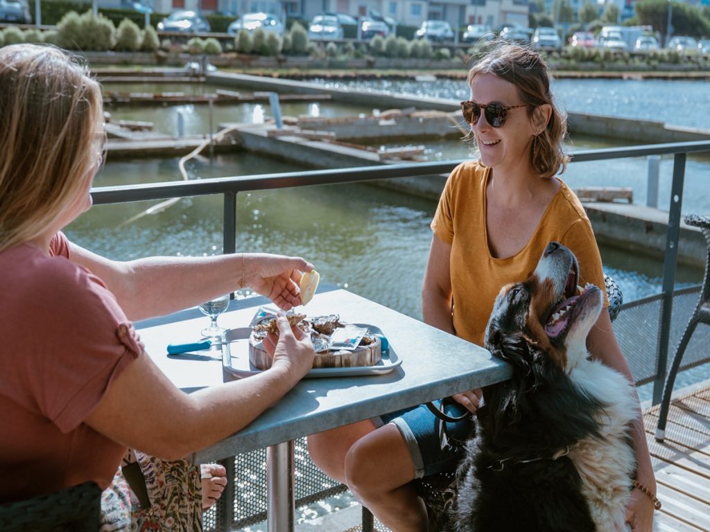 avec son chien, dégustation en terrasse de fruits de mer