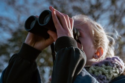 observatoire touristique coeur de nacre tourisme credit ibrahim hendy