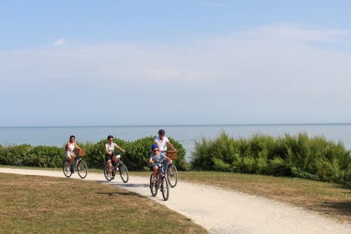 Groupe de quatre cyclistes sur une piste cyclable bordée de tamaris avec la mer en arrière-plan.